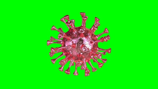 Corono virus